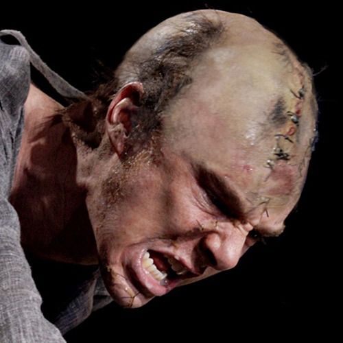 842ef1ad4493fb6507561d64f1a736e8--victor-frankenstein-sherlock-benedict